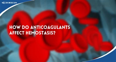 Antikoagülanlar Hemostazı Nasıl Etkiler? Tıbbi Distribütörler için Pratik Bir...