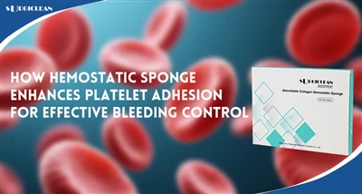 Hemostatik Sünger Etkili Kanama Kontrolü İçin Trombosit Yapışmasını Nasıl Art...